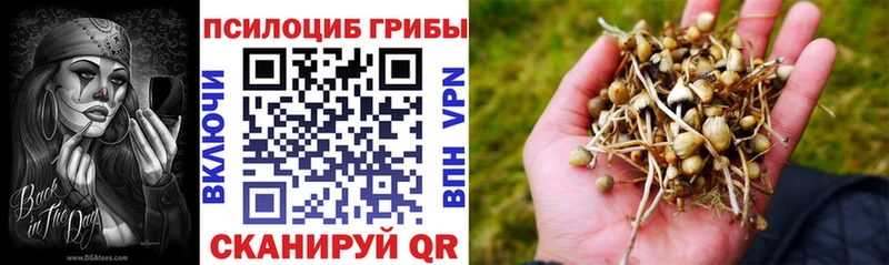 Псилоцибиновые грибы GOLDEN TEACHER  Купить  Вязьма 